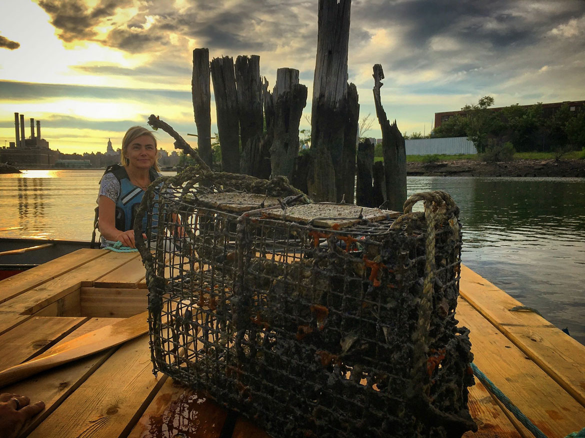 Oyster Project