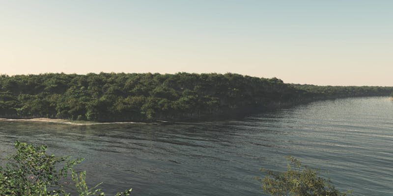 Brooklyn with Brooks, Bushwick with Bushes