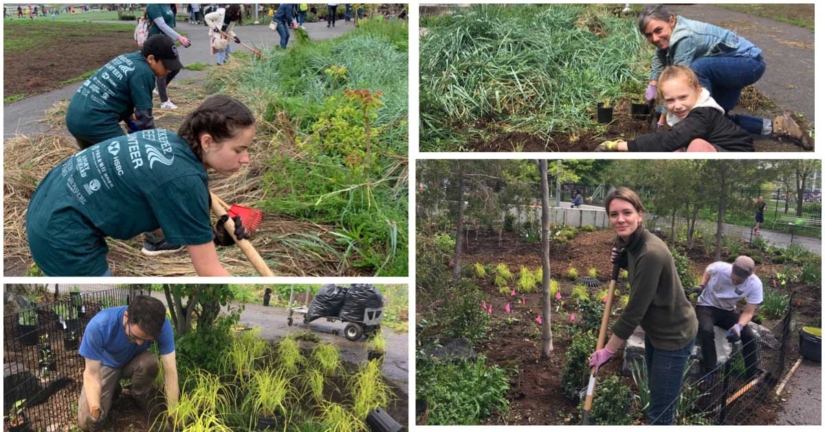 FBIP volunteer gardeners