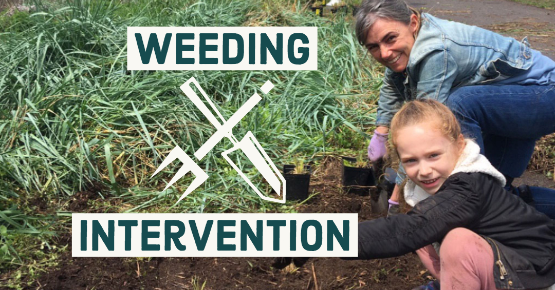 Weeding Intervention