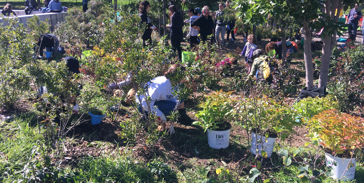 Fall 2019 Encore Gardening Day