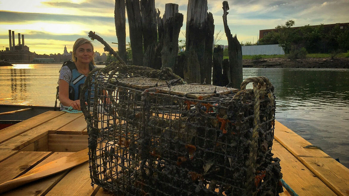 oyster cage atop of a living dock in Bushwick Inlet