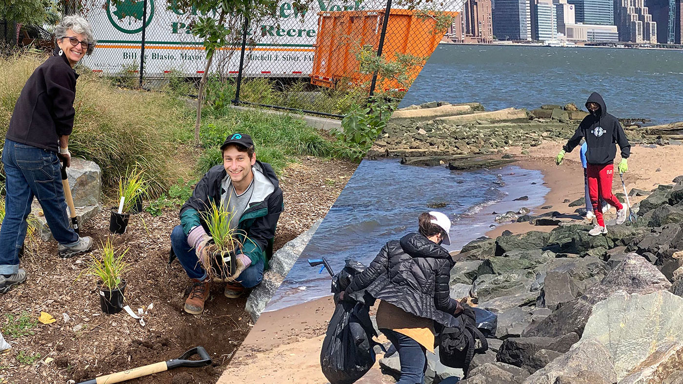 BIP spring planting and cleanup