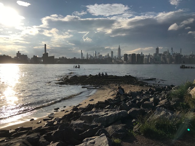 BIP shoreline & beach.