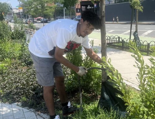 High Line Teen Residency Intern Program at 50 Kent