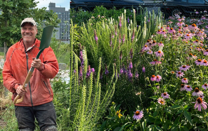 Williamsburg Pollinator Project & Garden at 50 Kent