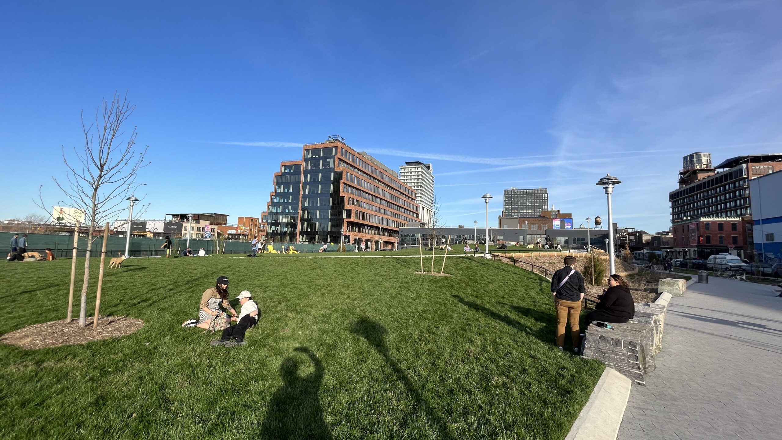 50 Kent lawn