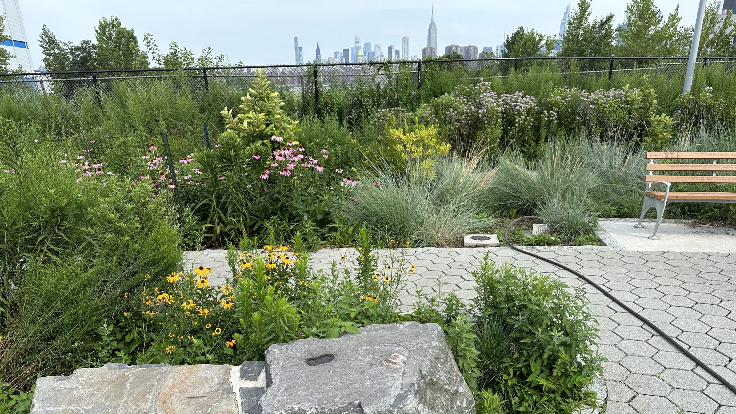 native plant gardens at 50 Kent with Empire State Building in the distance