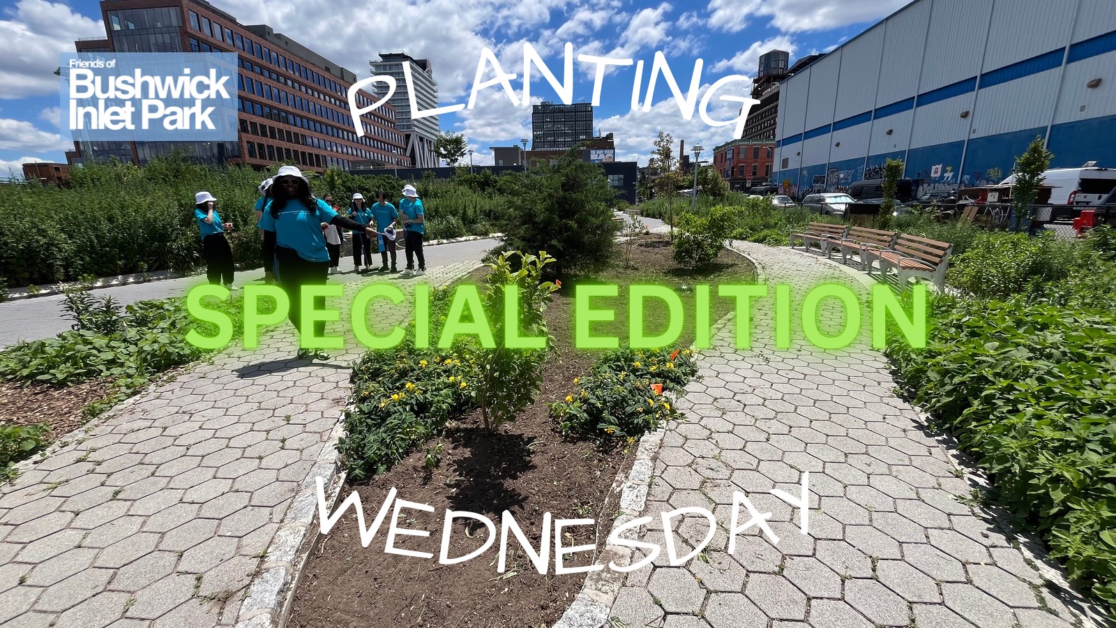 Planting Wednesday Special Edition