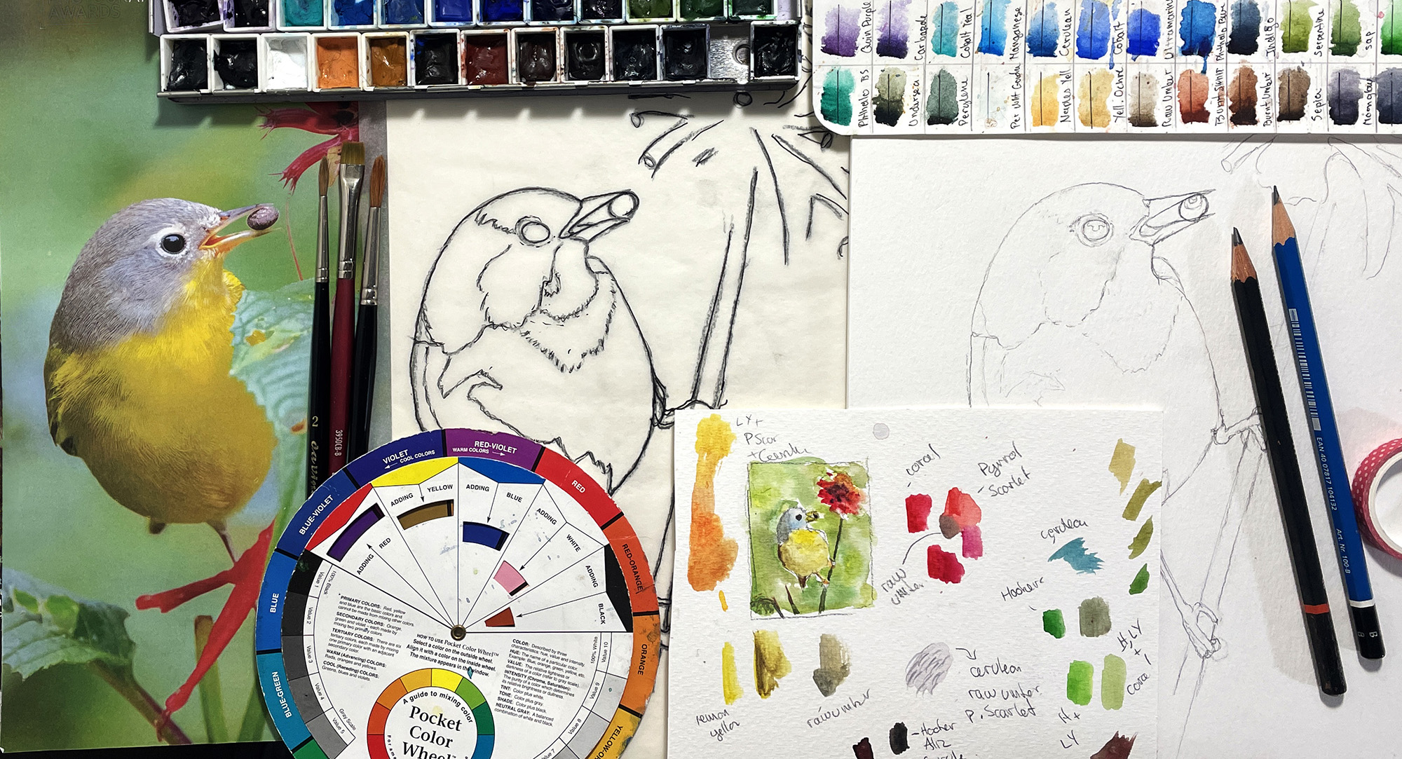 Bird reference graphic