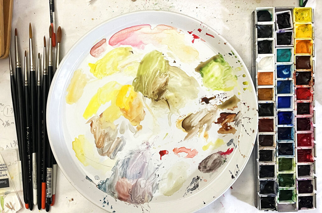 Bird drawing progress