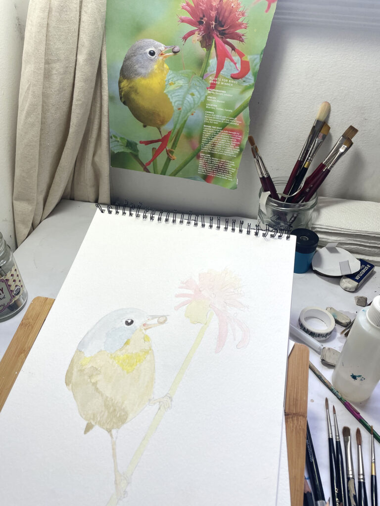 Bird drawing progress