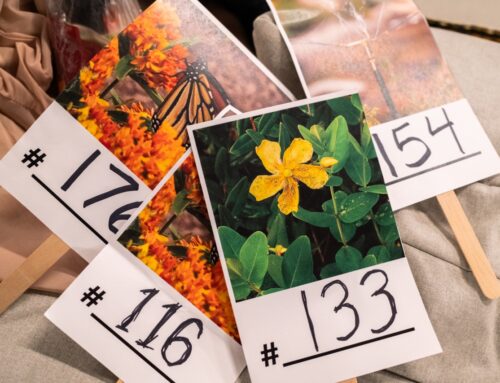 2025 Park🌸raiser Gallery