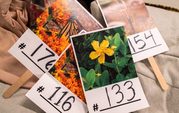 FBIP Parkraiser 2025