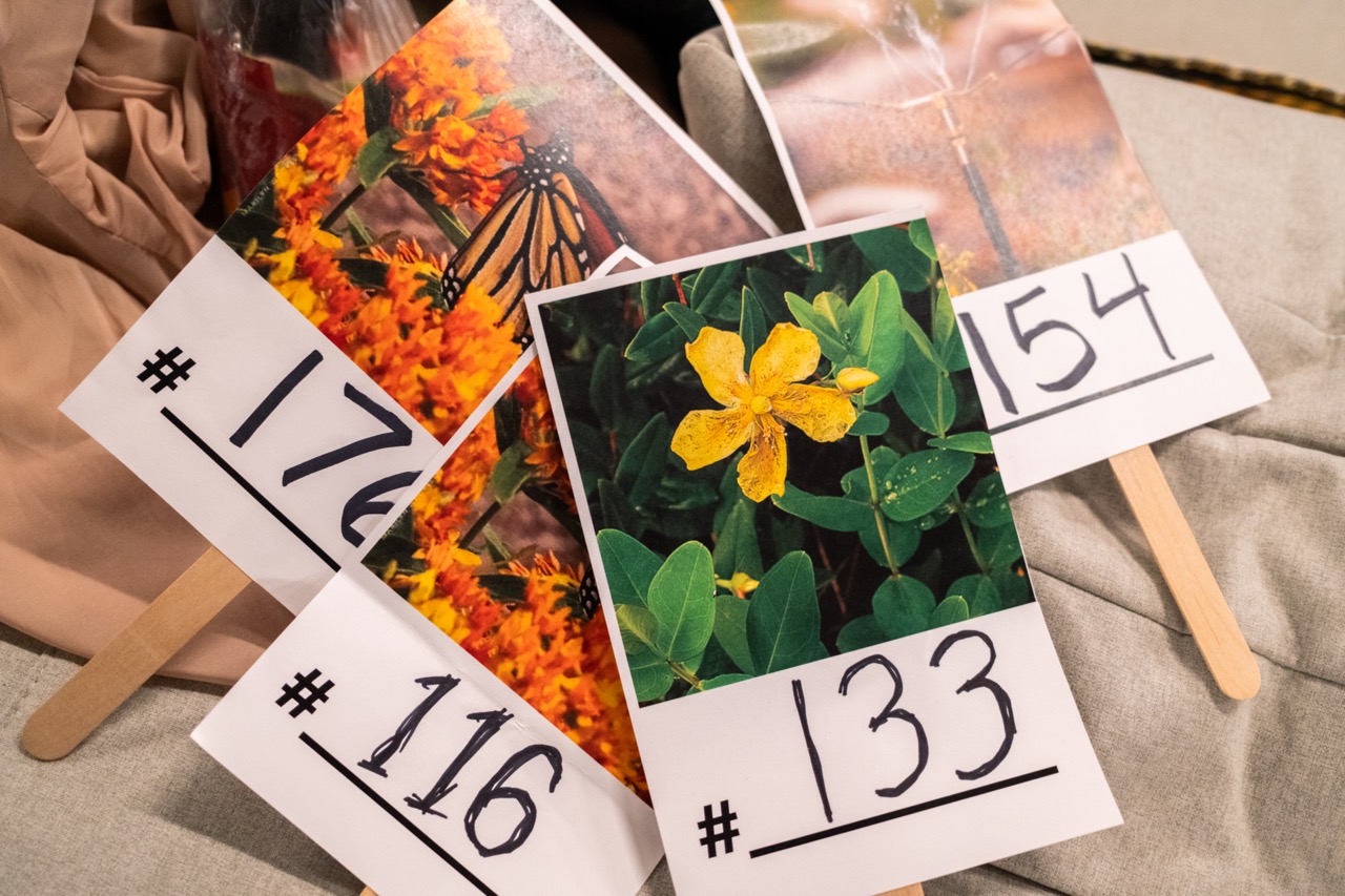 FBIP Parkraiser 2025