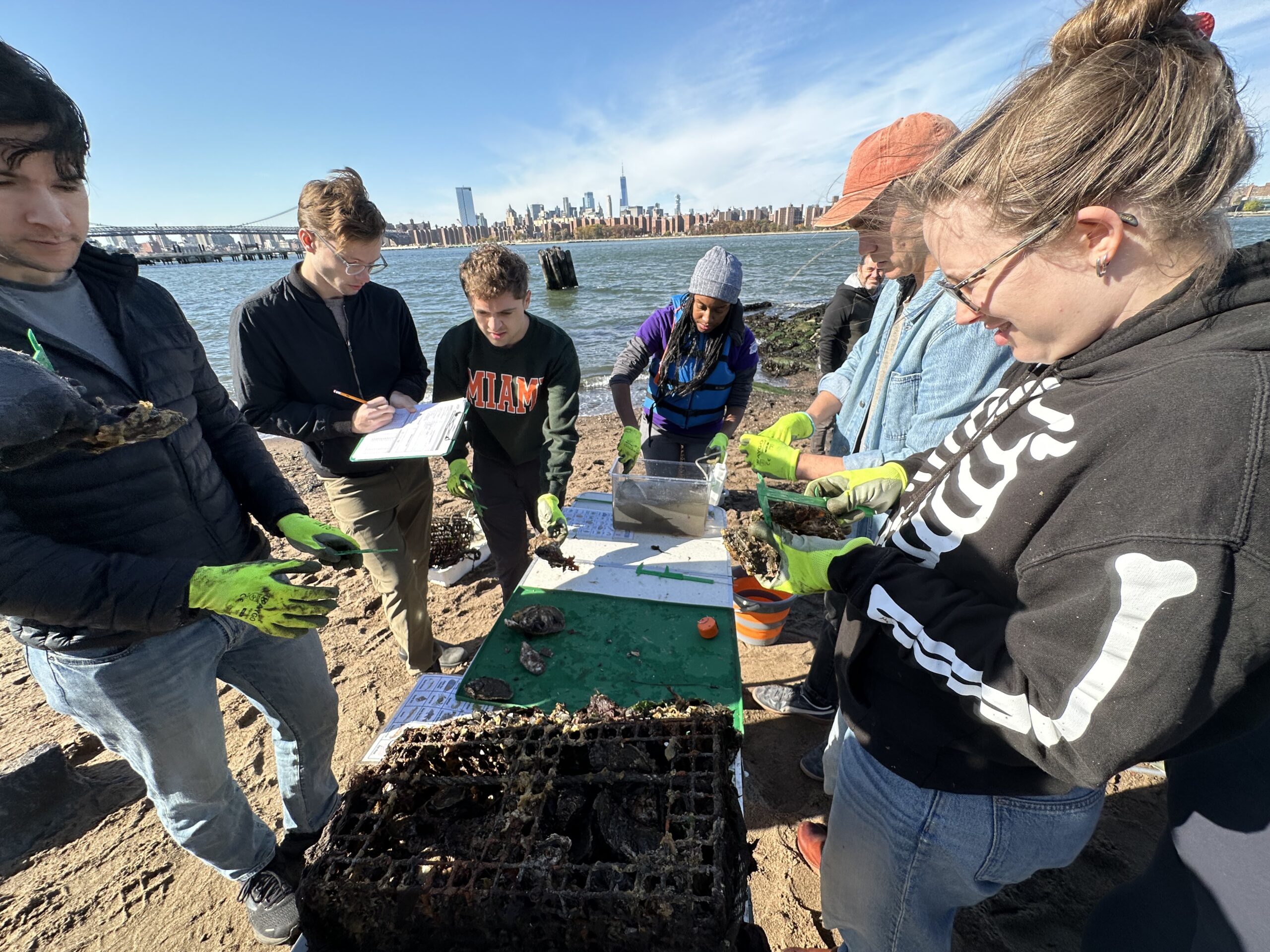 Oyster Monitoring