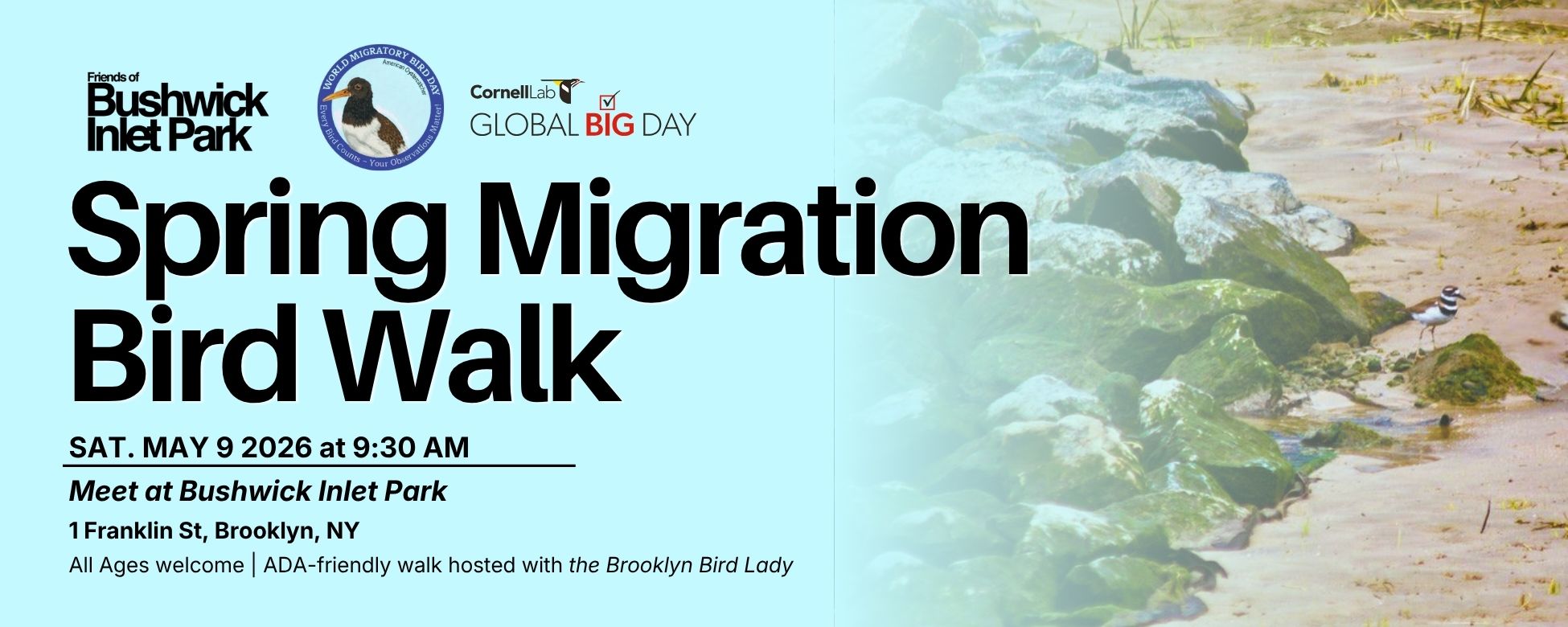 Spring Migration Bird Walk