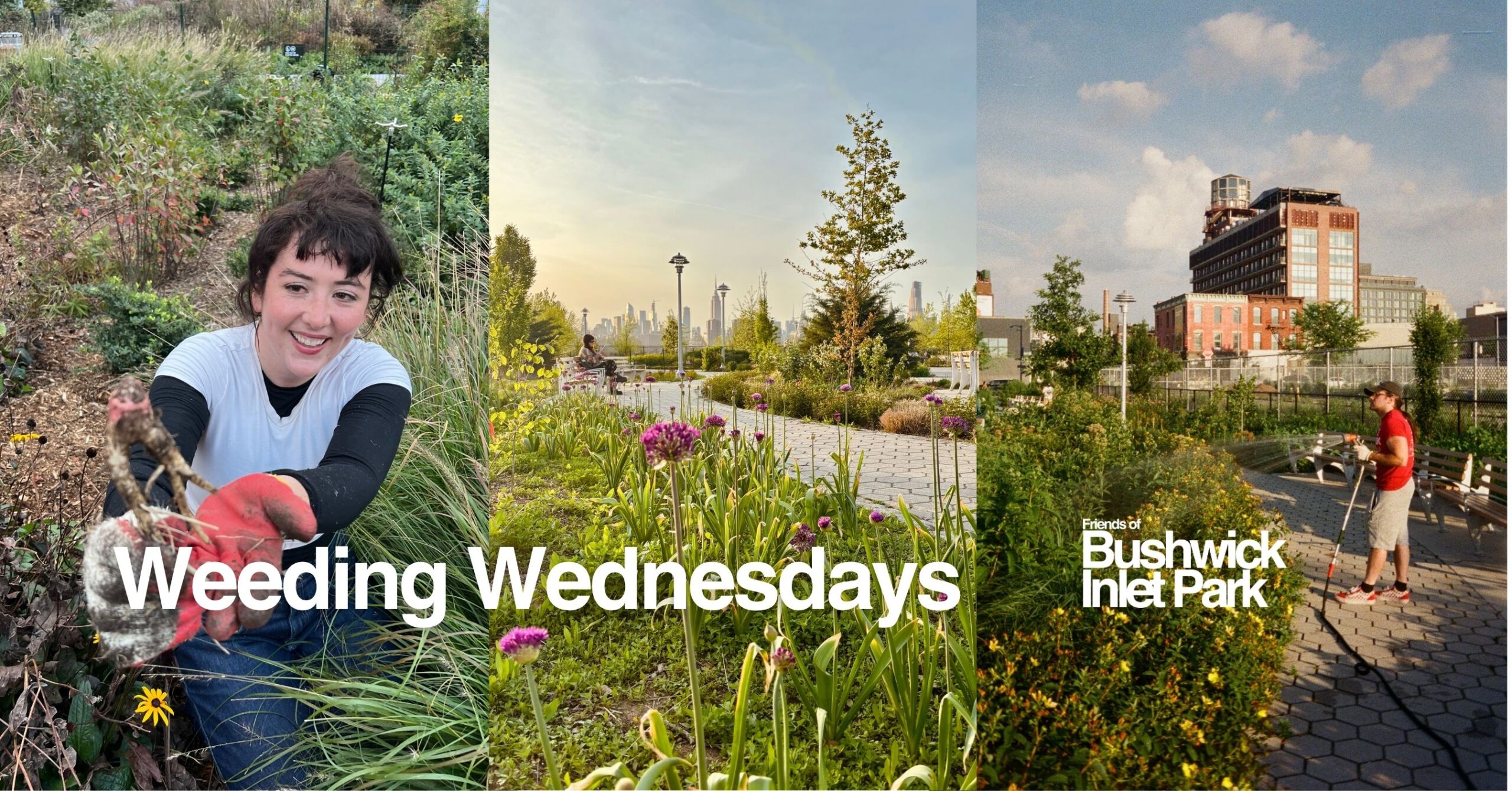 Weeding Wednesdays