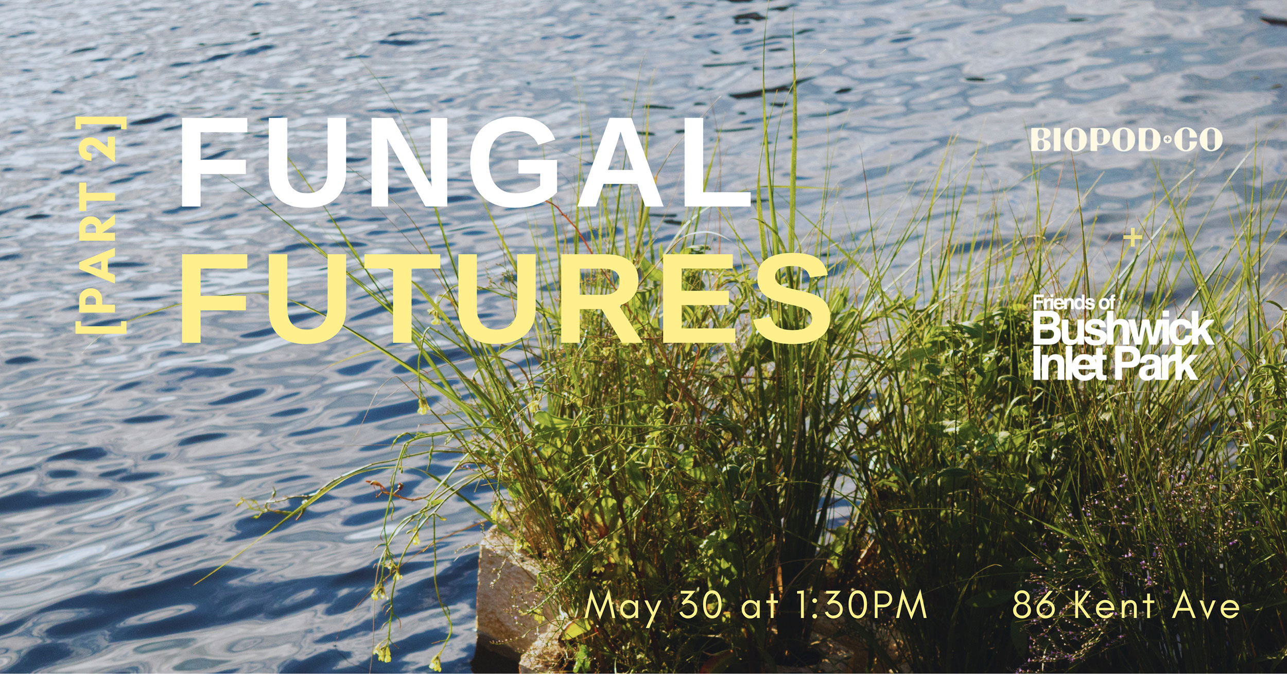 Fungal Futures Part 2